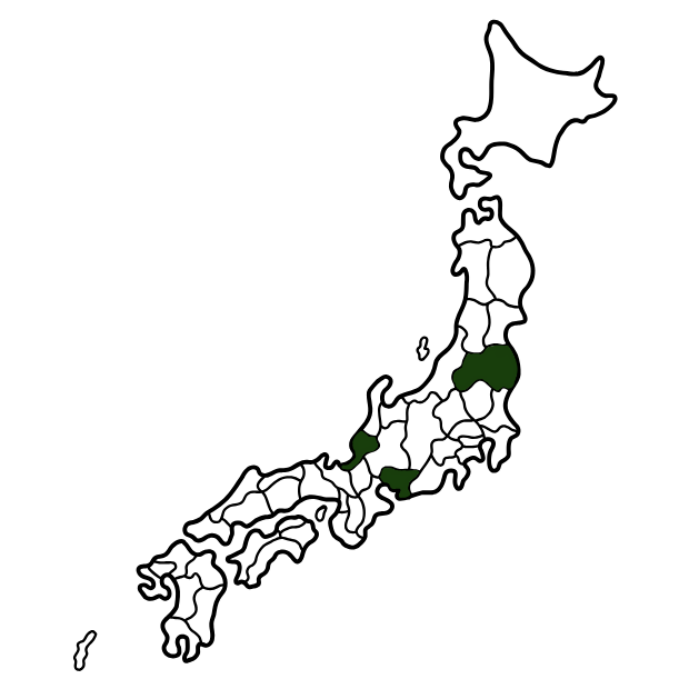 Japanese tea field